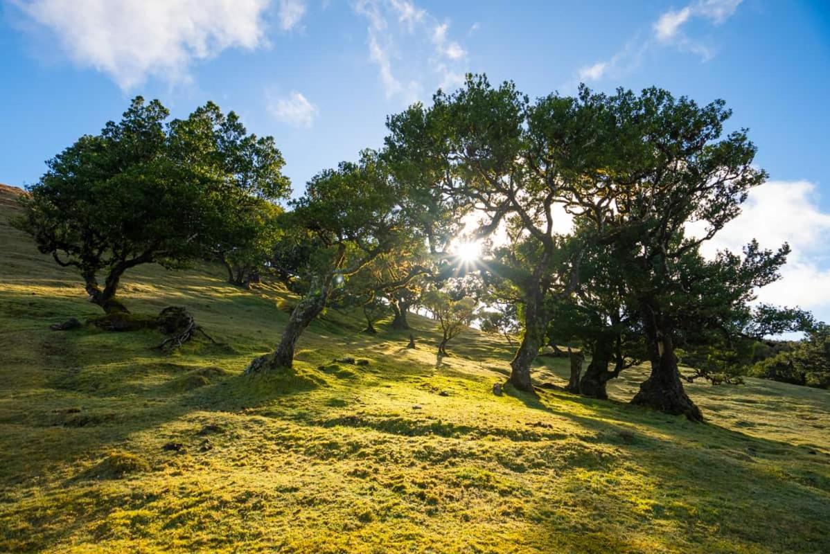 Quinta' Home Ribeira da Janela Kültér fotó